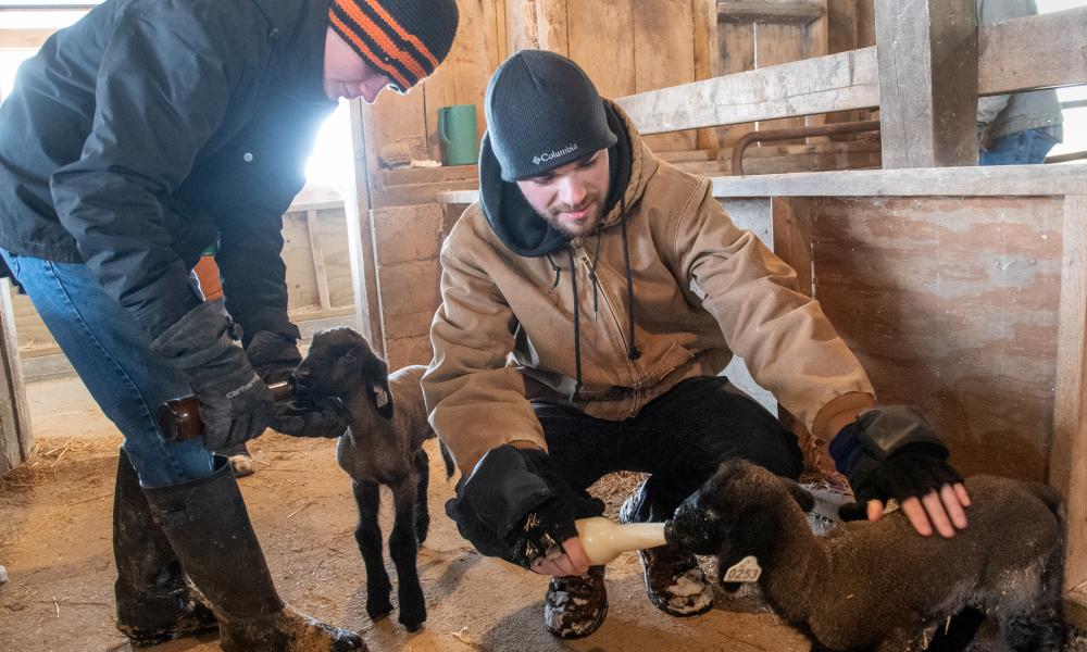 Farm Visits with Father 2