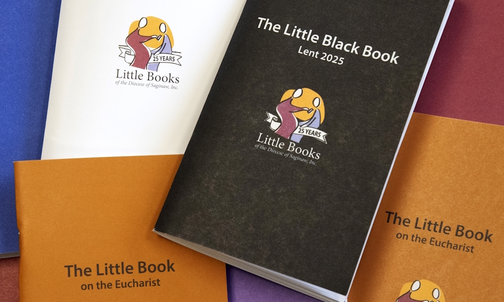 Seed Still Growing After 25 Years 3