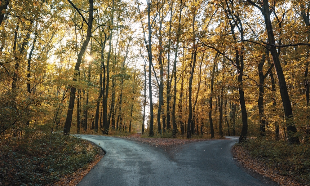 From the Bishop - November/December 2025