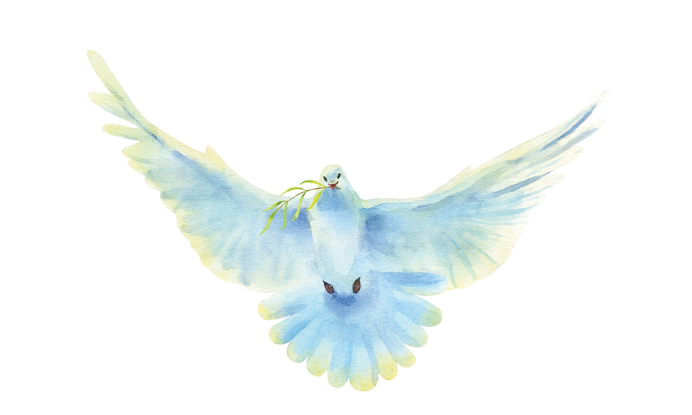 “Receive the gift of the  Holy Spirit.”